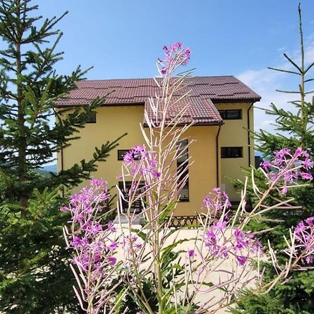 Pension Valea Mariei Rânca Extérieur photo