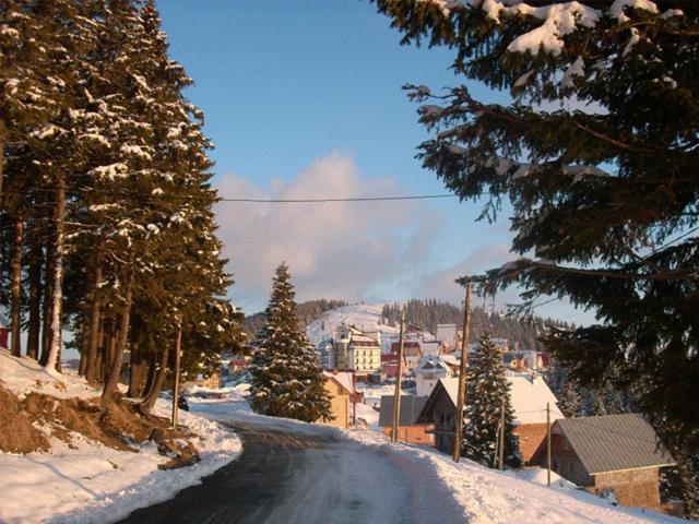 Pension Valea Mariei Rânca Extérieur photo
