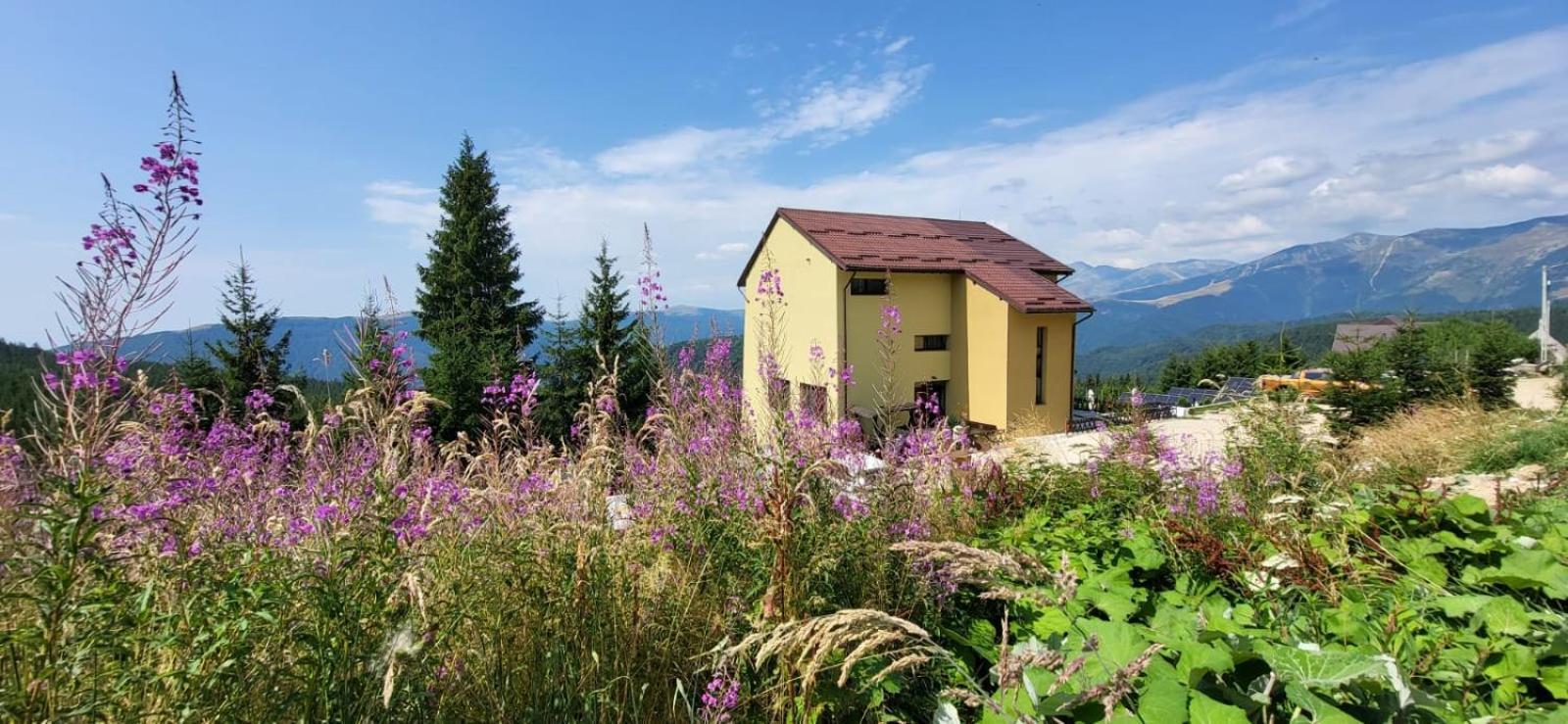 Pension Valea Mariei Rânca Extérieur photo